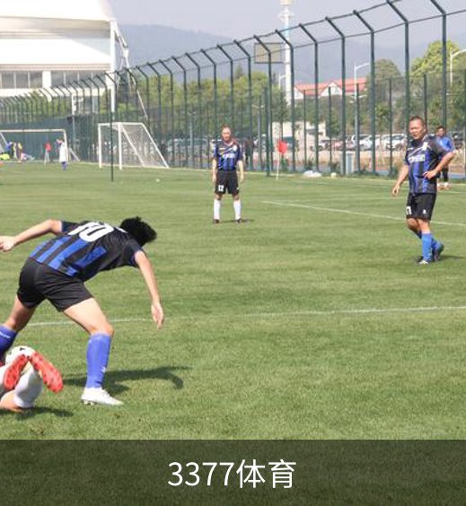 走进3377体育